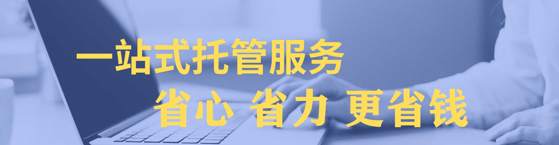 织金竞价开户推广